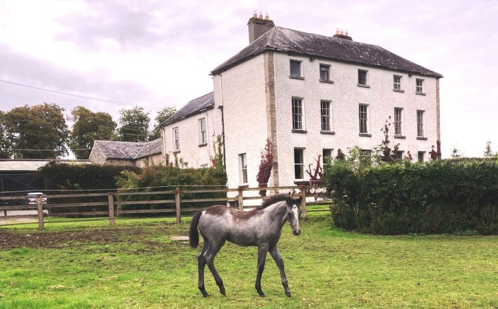 millpark-house-b&b-1 Ideal Accommodation Near Cloughjordan House