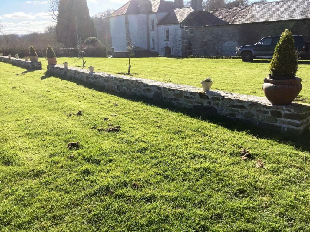 millpark-house-b&b-gardens3 Millpark House accommodation bed and breakfast near Cloughjordan House